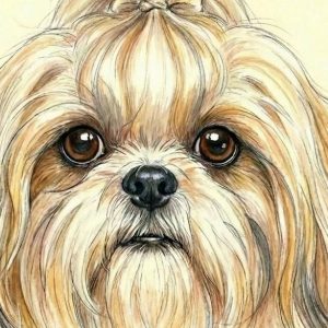 WhatsApp Image 2026-01-11 at 22.22.11 (4)